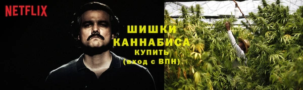 меф Горняк