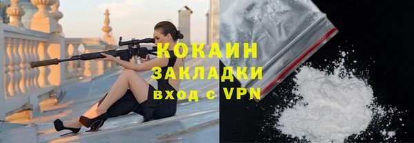 меф Горняк