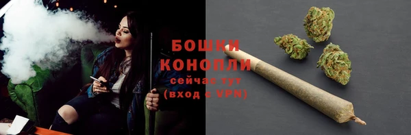 не бодяженный Горнозаводск