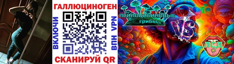Купить где  Балахна  Псилоцибиновые грибы Magic Shrooms 